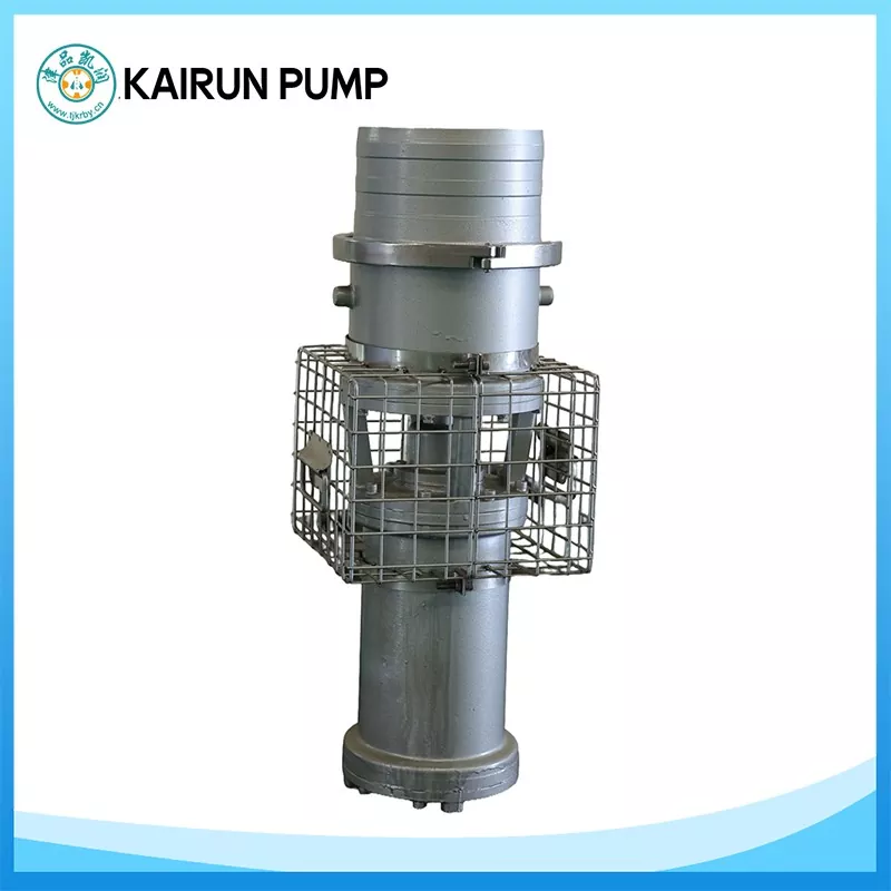 Permanens Magnet Submersible Axial flow Pump